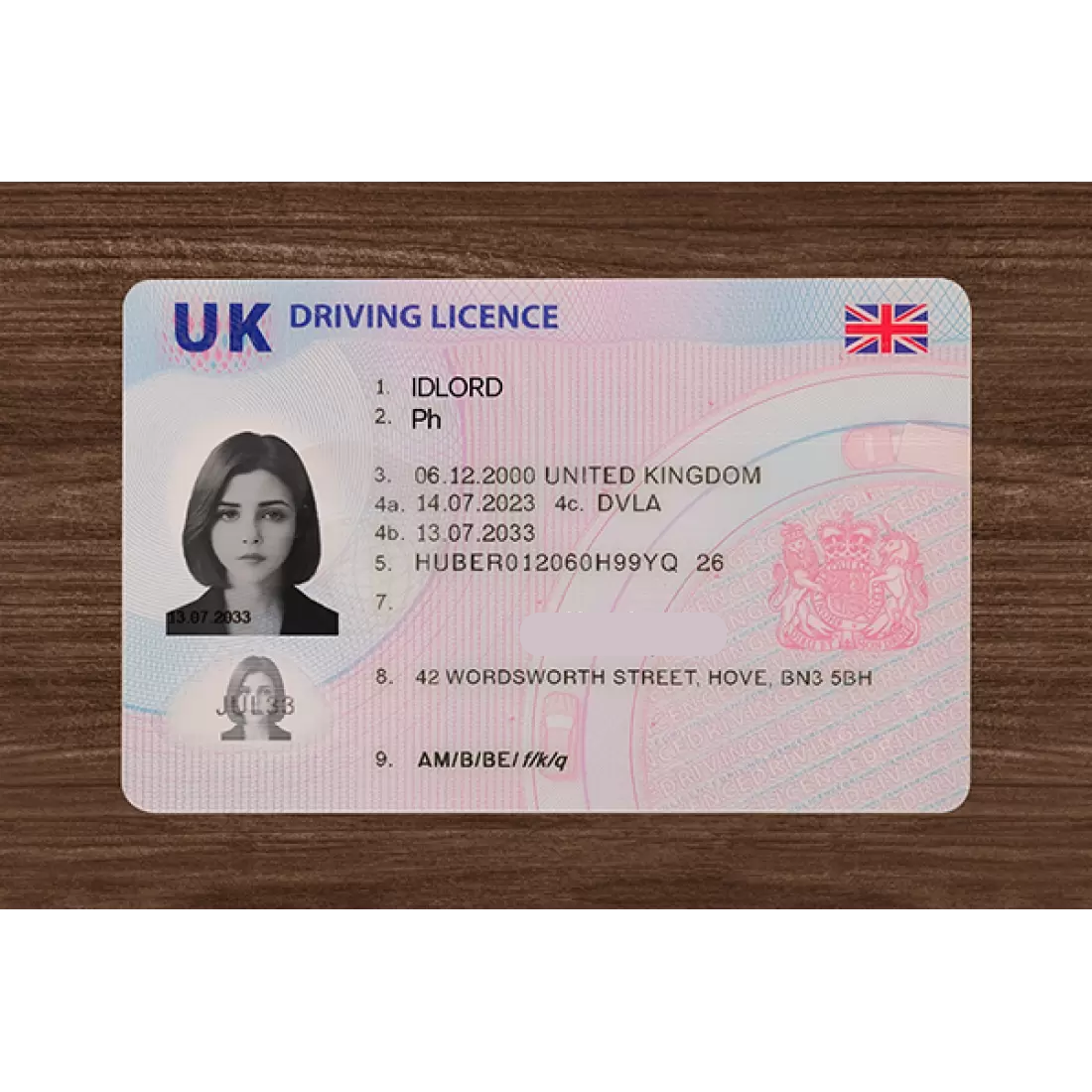 UK Fake ID — DVLA Photocard (Teslin)