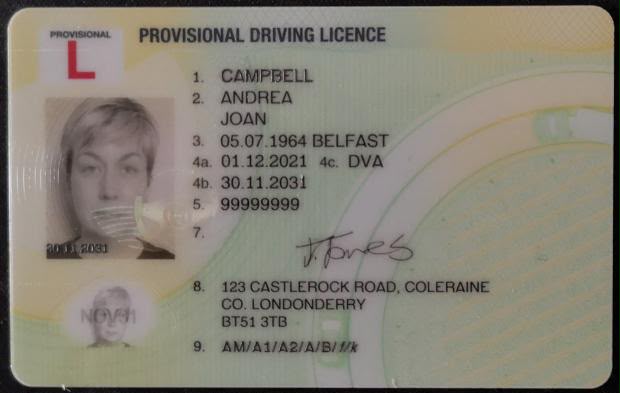 UK Provisional Licence (Polycarbonate)